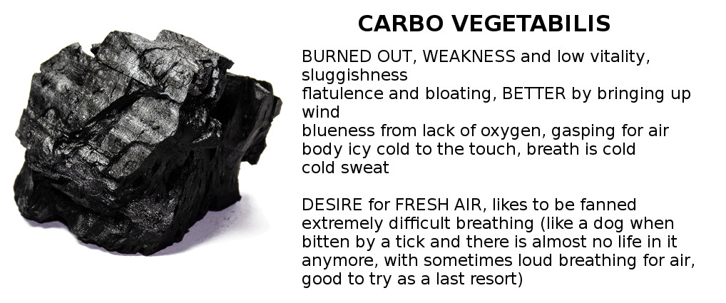 carbo vegetabilis